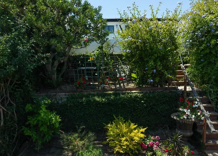 Overlooking Marina Del Rey Sailboats, Is Green Ginger Playa Del Rey On The Bluff,